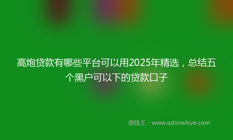 高炮贷款有哪些平台可以用2025年精选，总结五个黑户可以下的贷款口子