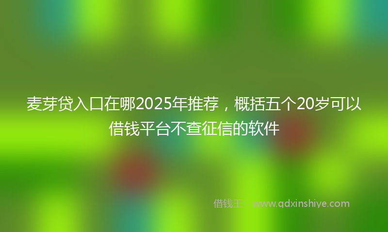 麦芽贷入口在哪2025年推荐，概括五个20岁可以借钱平台不查征信的软件