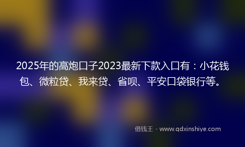 2025年的高炮口子2023最新下款入口有：小花钱包、微粒贷、我来贷、省呗、平安口袋银行等。