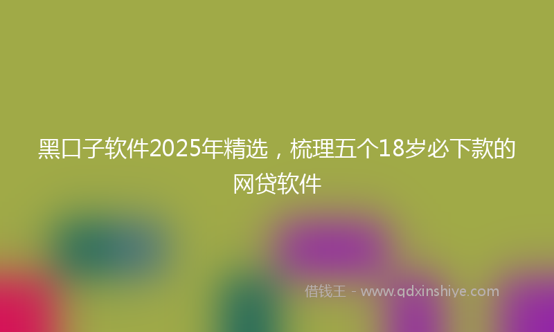 黑口子软件2025年精选，梳理五个18岁必下款的网贷软件