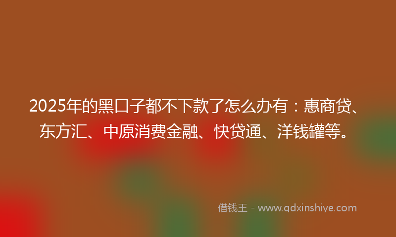2025年的黑口子都不下款了怎么办有：惠商贷、东方汇、中原消费金融、快贷通、洋钱罐等。