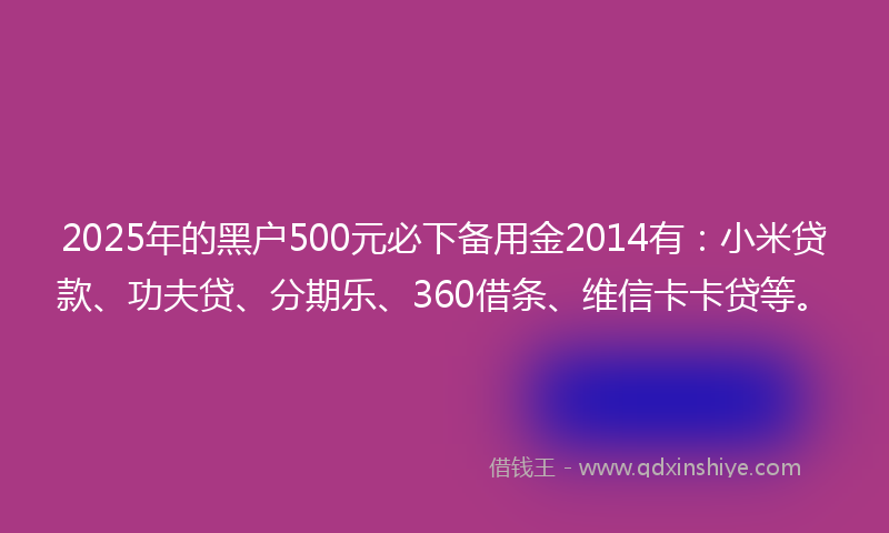 2025年的黑户500元必下备用金2014有：小米贷款、功夫贷、分期乐、360借条、维信卡卡贷等。