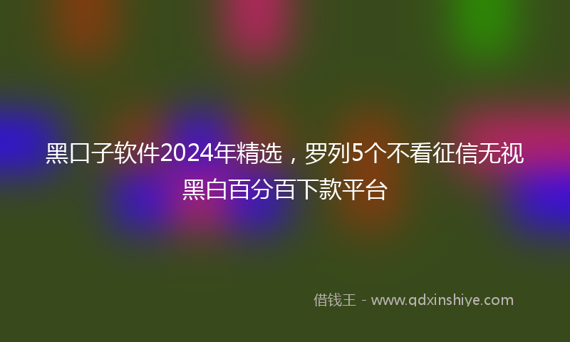 黑口子软件2024年精选，罗列5个不看征信无视黑白百分百下款平台