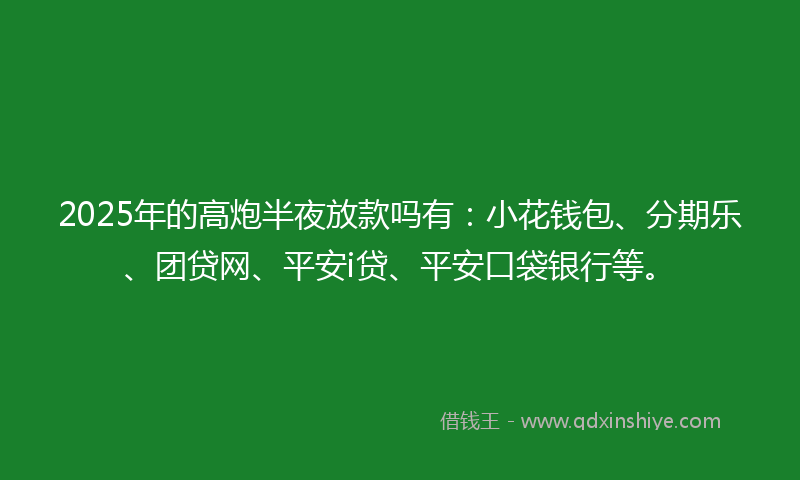 2025年的高炮半夜放款吗有：小花钱包、分期乐、团贷网、平安i贷、平安口袋银行等。