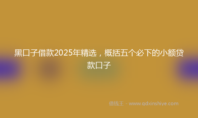 黑口子借款2025年精选，概括五个必下的小额贷款口子
