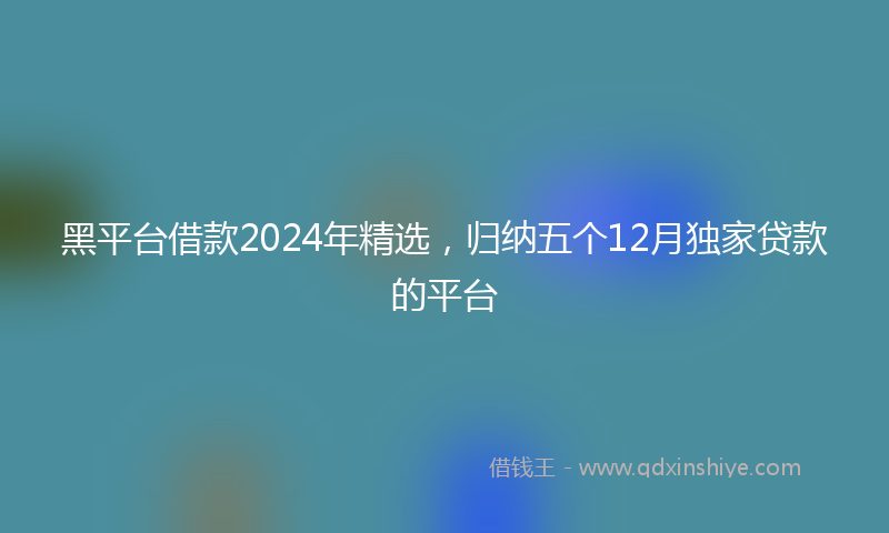 黑平台借款2024年精选，归纳五个12月独家贷款的平台