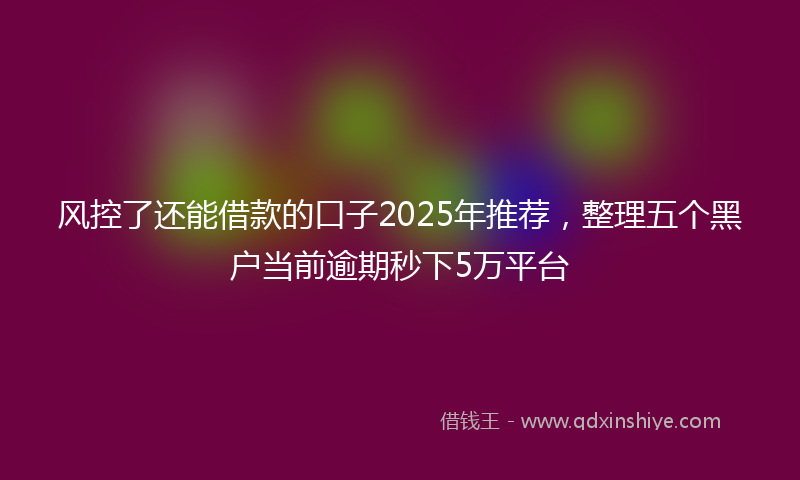 风控了还能借款的口子2025年推荐，整理五个黑户当前逾期秒下5万平台