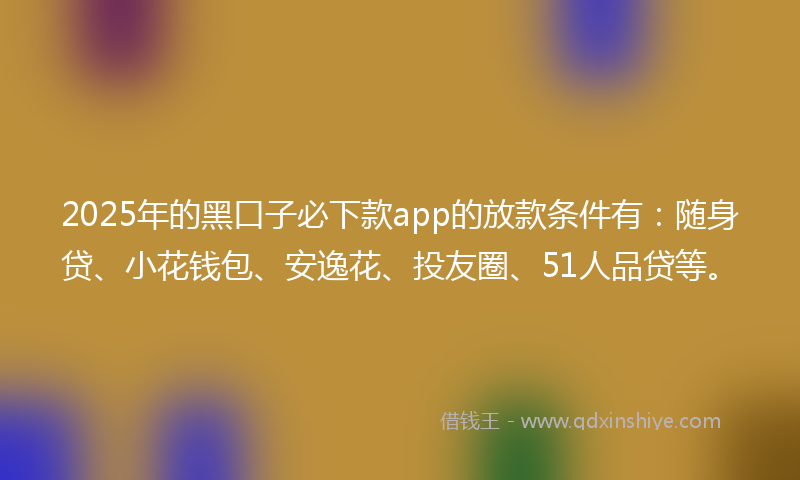 2025年的黑口子必下款app的放款条件有：随身贷、小花钱包、安逸花、投友圈、51人品贷等。