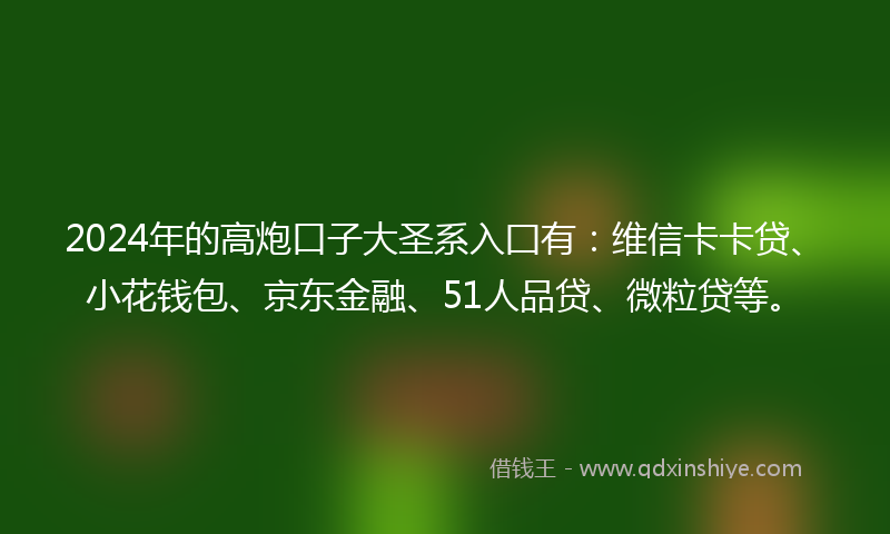 2024年的高炮口子大圣系入囗有：维信卡卡贷、小花钱包、京东金融、51人品贷、微粒贷等。