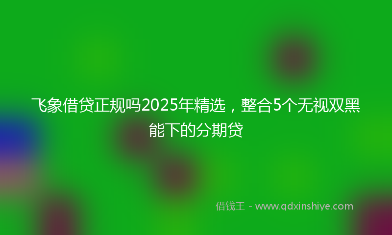 飞象借贷正规吗2025年精选，整合5个无视双黑能下的分期贷