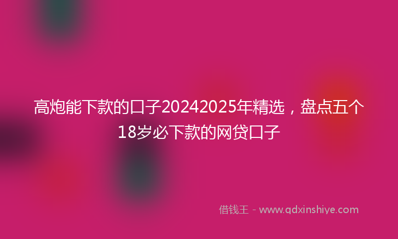 高炮能下款的口子20242025年精选，盘点五个18岁必下款的网贷口子