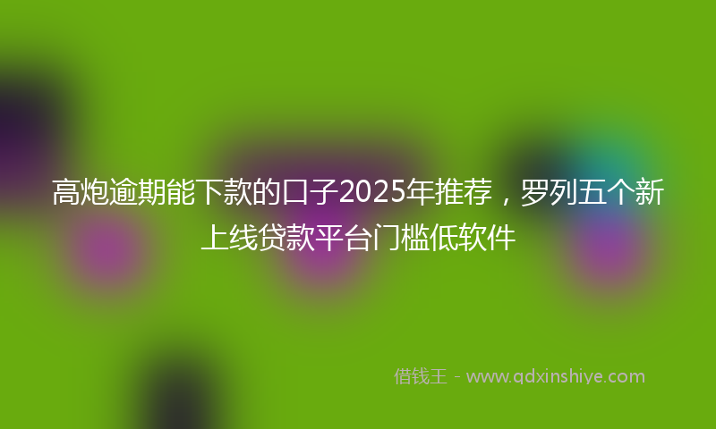高炮逾期能下款的口子2025年推荐，罗列五个新上线贷款平台门槛低软件