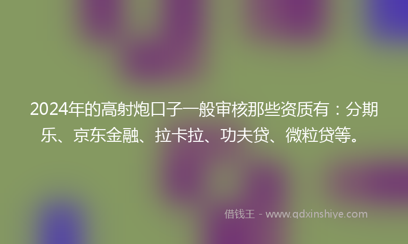 2024年的高射炮口子一般审核那些资质有：分期乐、京东金融、拉卡拉、功夫贷、微粒贷等。