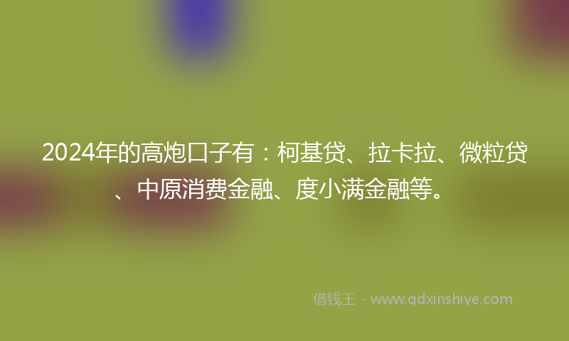 2024年的高炮口子有：柯基贷、拉卡拉、微粒贷、中原消费金融、度小满金融等。