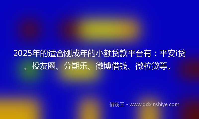 2025年的适合刚成年的小额贷款平台有：平安i贷、投友圈、分期乐、微博借钱、微粒贷等。