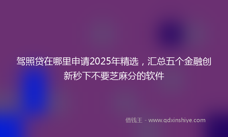 驾照贷在哪里申请2025年精选，汇总五个金融创新秒下不要芝麻分的软件