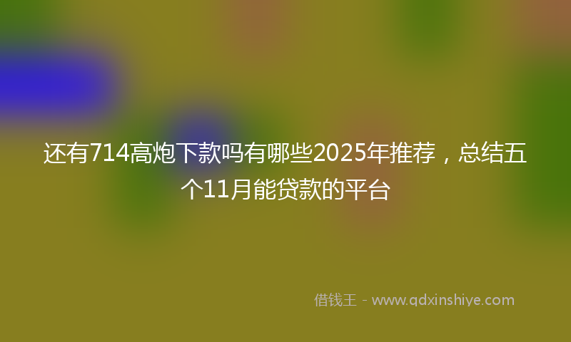 还有714高炮下款吗有哪些2025年推荐，总结五个11月能贷款的平台