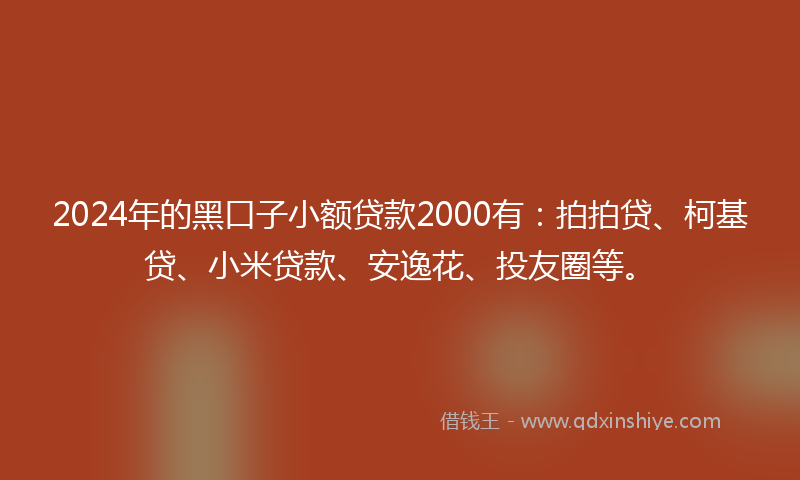 2024年的黑口子小额贷款2000有：拍拍贷、柯基贷、小米贷款、安逸花、投友圈等。