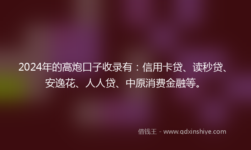 2024年的高炮口子收录有：信用卡贷、读秒贷、安逸花、人人贷、中原消费金融等。