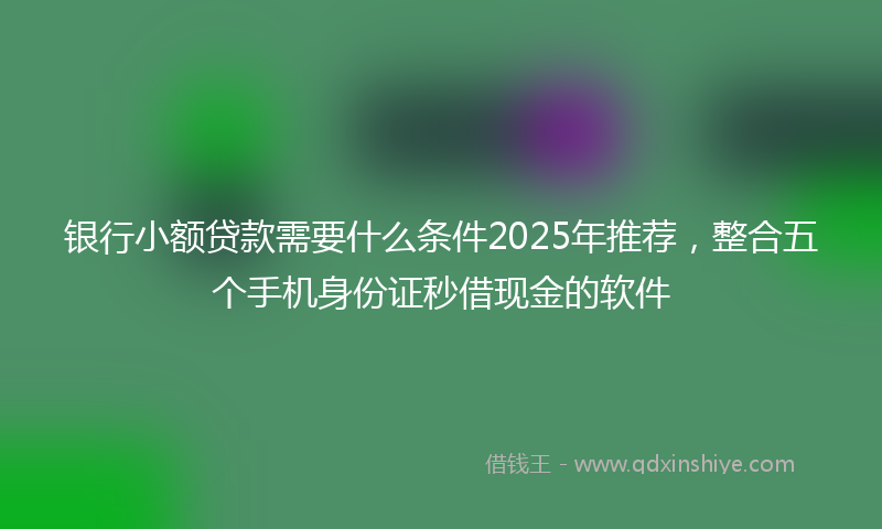 银行小额贷款需要什么条件2025年推荐，整合五个手机身份证秒借现金的软件