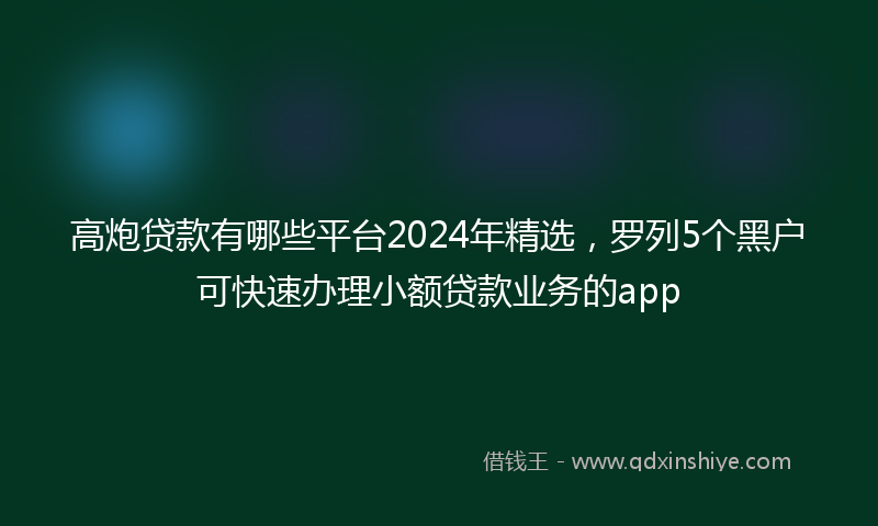 高炮贷款有哪些平台2024年精选，罗列5个黑户可快速办理小额贷款业务的app