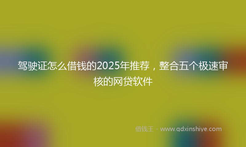 驾驶证怎么借钱的2025年推荐，整合五个极速审核的网贷软件