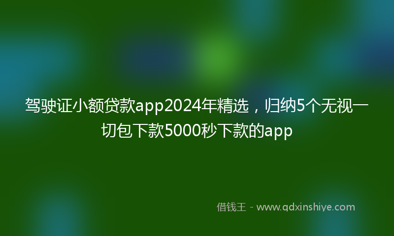 驾驶证小额贷款app2024年精选，归纳5个无视一切包下款5000秒下款的app