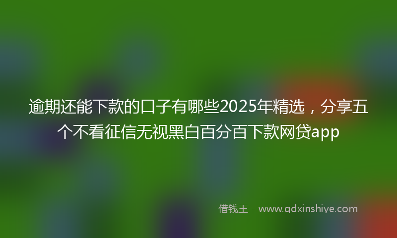 逾期还能下款的口子有哪些2025年精选，分享五个不看征信无视黑白百分百下款网贷app