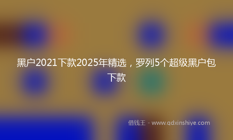 黑户2021下款2025年精选，罗列5个超级黑户包下款