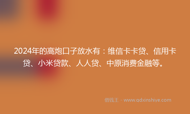 2024年的高炮口子放水有：维信卡卡贷、信用卡贷、小米贷款、人人贷、中原消费金融等。