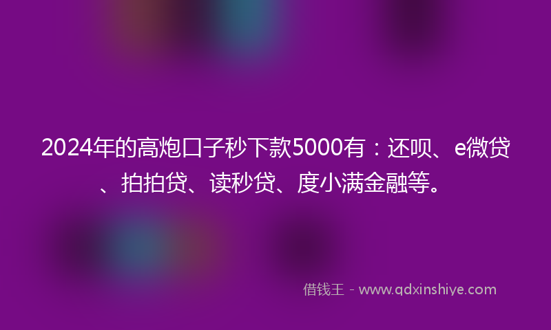 2024年的高炮口子秒下款5000有：还呗、e微贷、拍拍贷、读秒贷、度小满金融等。