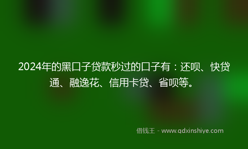 2024年的黑口子贷款秒过的口子有：还呗、快贷通、融逸花、信用卡贷、省呗等。