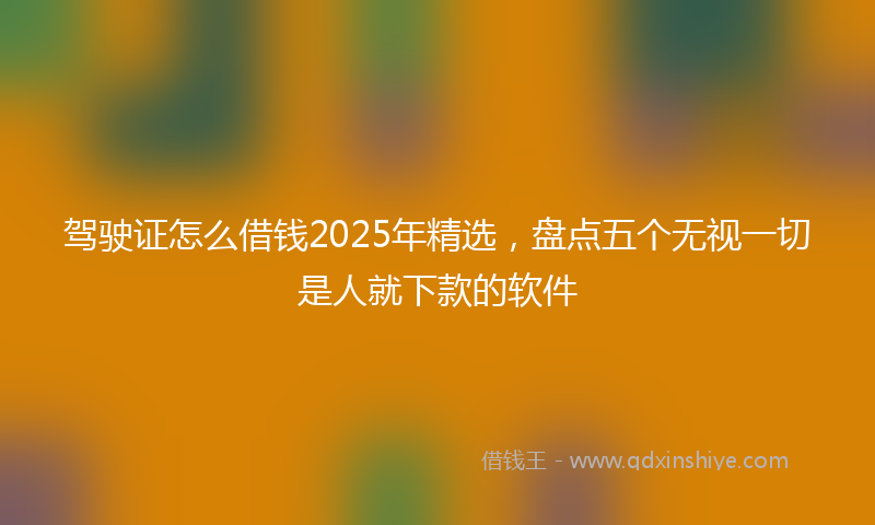 驾驶证怎么借钱2025年精选，盘点五个无视一切是人就下款的软件