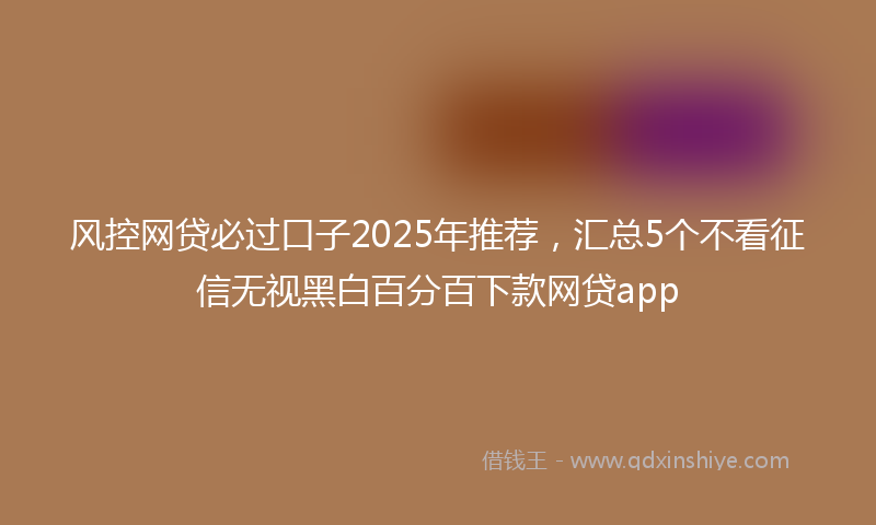 风控网贷必过口子2025年推荐，汇总5个不看征信无视黑白百分百下款网贷app
