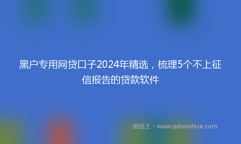 黑户专用网贷口子2024年精选，梳理5个不上征信报告的贷款软件