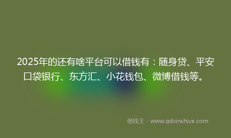 2025年的还有啥平台可以借钱有：随身贷、平安口袋银行、东方汇、小花钱包、微博借钱等。