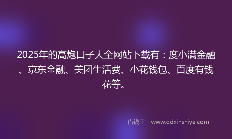 2025年的高炮口子大全网站下载有：度小满金融、京东金融、美团生活费、小花钱包、百度有钱花等。