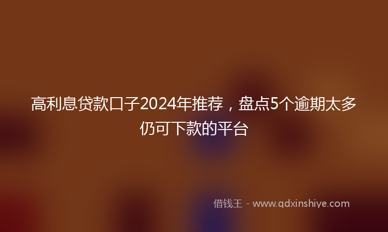高利息贷款口子2024年推荐，盘点5个逾期太多仍可下款的平台