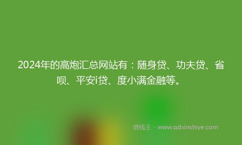 2024年的高炮汇总网站有：随身贷、功夫贷、省呗、平安i贷、度小满金融等。