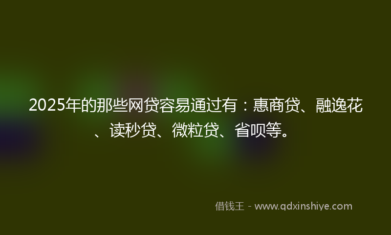 2025年的那些网贷容易通过有：惠商贷、融逸花、读秒贷、微粒贷、省呗等。