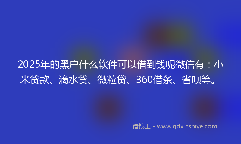 2025年的黑户什么软件可以借到钱呢微信有：小米贷款、滴水贷、微粒贷、360借条、省呗等。