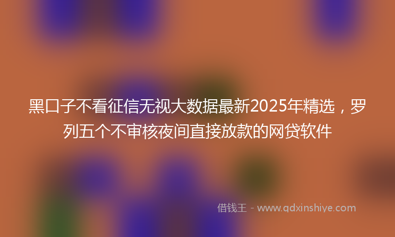 黑口子不看征信无视大数据最新2025年精选，罗列五个不审核夜间直接放款的网贷软件