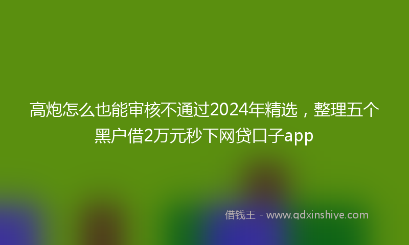 高炮怎么也能审核不通过2024年精选，整理五个黑户借2万元秒下网贷口子app