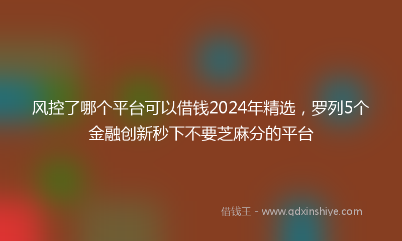 风控了哪个平台可以借钱2024年精选，罗列5个金融创新秒下不要芝麻分的平台
