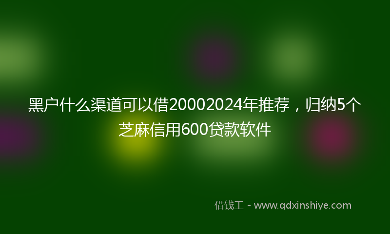 黑户什么渠道可以借20002024年推荐，归纳5个芝麻信用600贷款软件