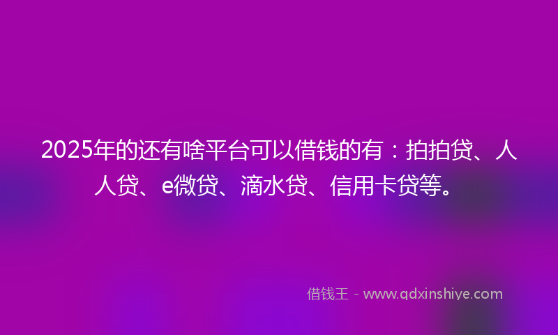 2025年的还有啥平台可以借钱的有：拍拍贷、人人贷、e微贷、滴水贷、信用卡贷等。