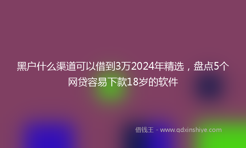 黑户什么渠道可以借到3万2024年精选，盘点5个网贷容易下款18岁的软件