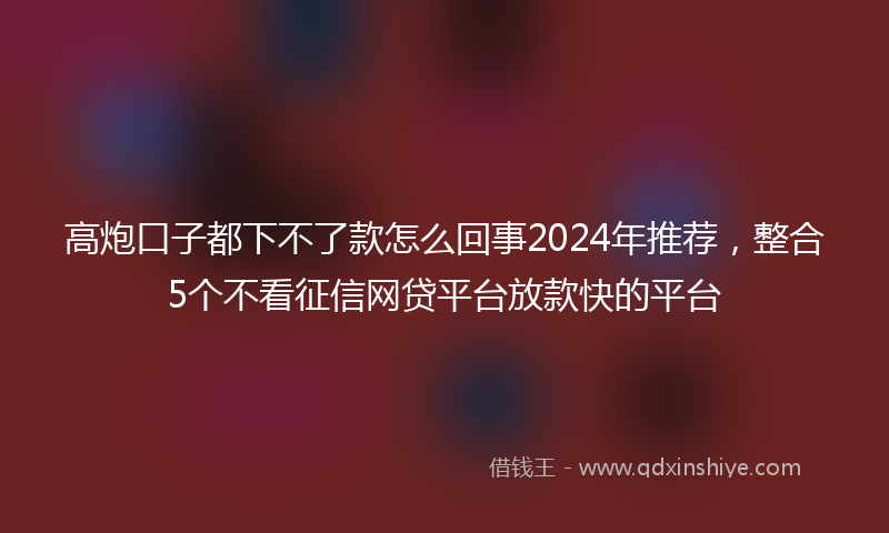 高炮口子都下不了款怎么回事2024年推荐，整合5个不看征信网贷平台放款快的平台