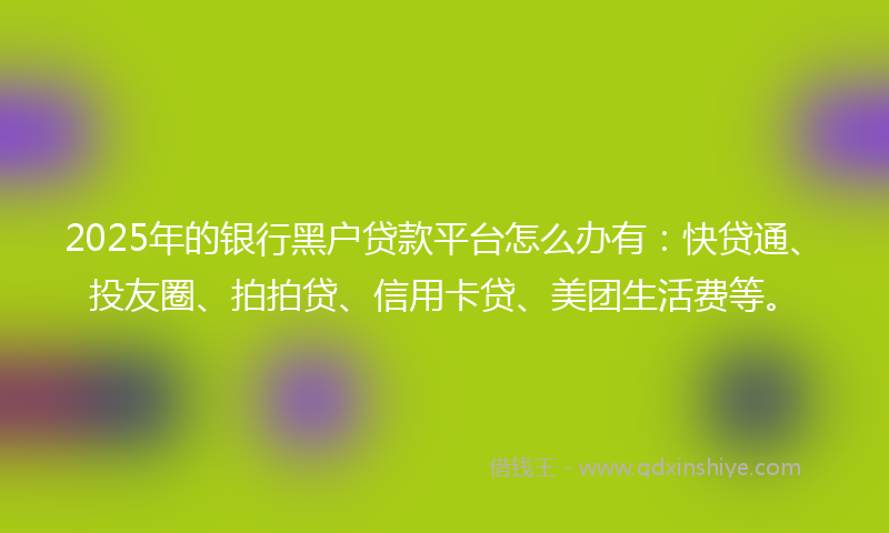 2025年的银行黑户贷款平台怎么办有：快贷通、投友圈、拍拍贷、信用卡贷、美团生活费等。