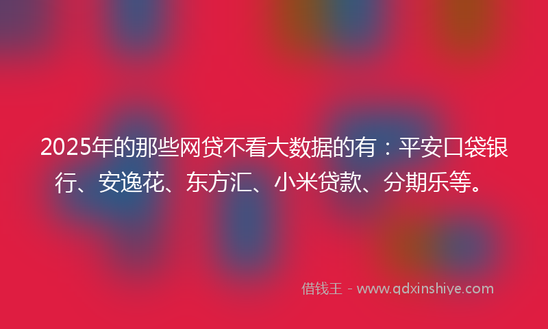 2025年的那些网贷不看大数据的有：平安口袋银行、安逸花、东方汇、小米贷款、分期乐等。